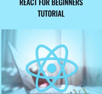 React for beginners tutorial - Sandy Ludosky
