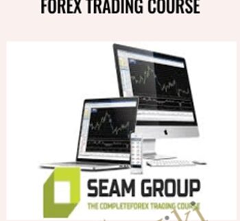 Forex Trading Course - Seam Group - Stefan Theron