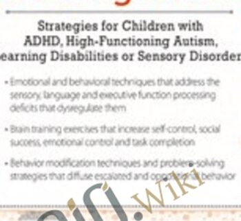 Self-Regulation Strategies for Children with ADHD, High-Functioning Autism, Learning Disabilities or Sensory Disorders - Laura Ehlert