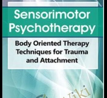 Sensorimotor Psychotherapy: Body Oriented Therapy Techniques for Trauma and Attachment - Pat Ogden