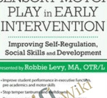 Sensory Motor Play in Early Intervention: Improving Self-Regulation, Social Skills and Development - Robbie Levy