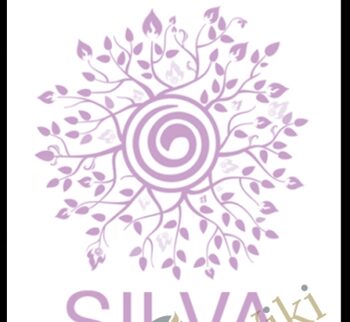 Silva Intuition System