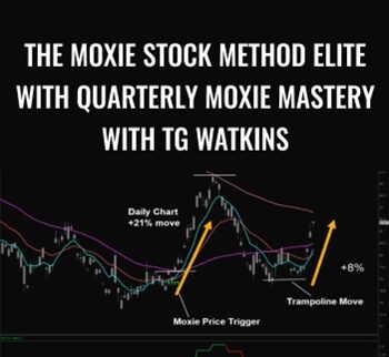 The Moxie Stock Method Elite with Quarterly Moxie Mastery with TG Watkins – Simpler Trading