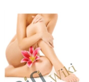 Sophia’s Pleasure Garden
