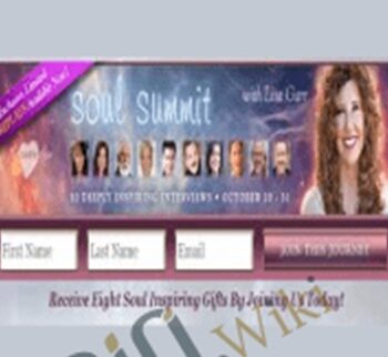 Soul Summit Videos 2014 – Lisa Garr