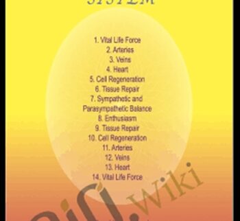 Circulatory System - Sound Healing Center