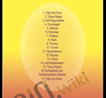 Endocrine Glands - Sound Healing Center
