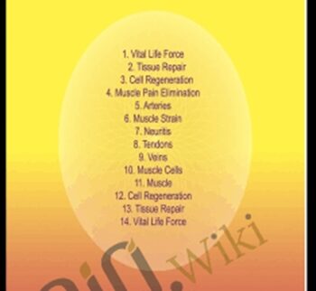 Muscles - Sound Healing Center
