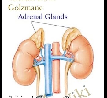 Spiritual Clearing, Psychic Surgery, & Repairing of the Adrenal Glands