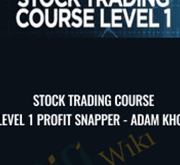Stock Trading Course Level 1 Profit Snapper