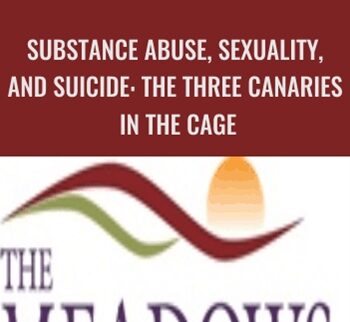 Substance Abuse, Sexuality, and Suicide: The Three Canaries in the Cage - Patrick Carnes