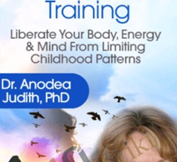 The Character Type Training - Anodea Judith