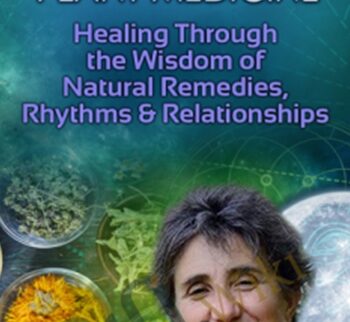 The Feminine Way of Plant Medicine - Deb Soule