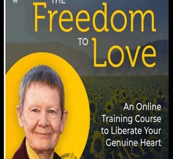 The Freedom To Love - Pema Chödrön