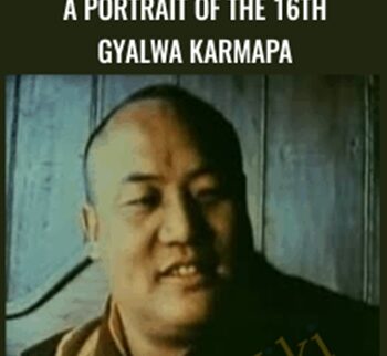 A Portrait of the 16th Gyalwa Karmapa – The Lion’s Roar