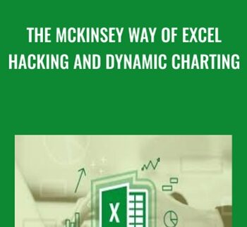 The McKinsey Way Of Excel Hacking and Dynamic Charting - Sandor Kiss & Matthias Bellmann
