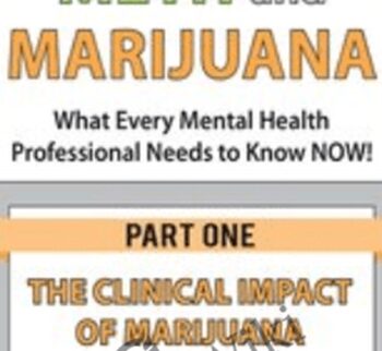 The Meth Epidemic: What Every Clinician Needs to Know - Hayden Center