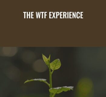 The WTF Experience - Amir Zoghi