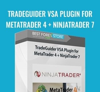 Tradeguider VSA Plugin For Metatrader 4 + Ninjatrader 7 - Ninjatrader