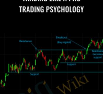 Trading Like a Pro – Trading Psychology – Tradimo