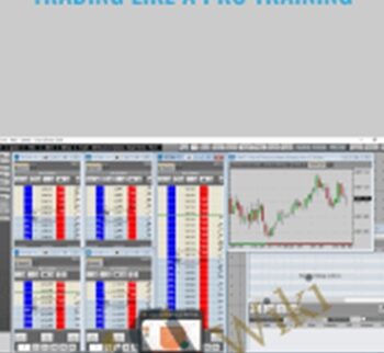 Trading Like a Pro Training – Tradimo