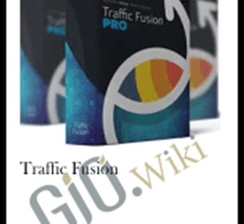 Traffic Fusion – Precious Ngwu