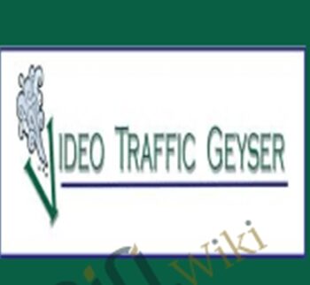 Video Traffic Geyser – Justin Sardi, Zane Miller