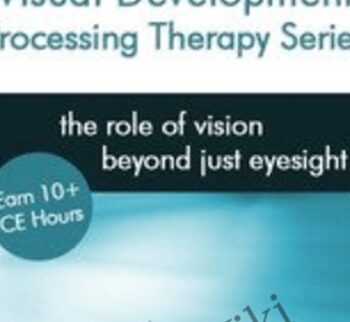 Visual Development Processing Therapy Series - Leonard J. Press & Christine Winter-Rundell