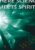 Where Science Meets Spirit: The Formula for Miracles - Brent Phillips - Image 2