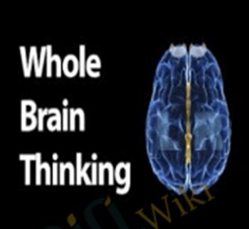 Whole Brain Thinking – Mark Buchanan