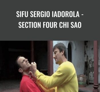 Sifu Sergio Iadorola - Section Four Chi Sao - Wing Tjun