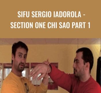Sifu Sergio Iadorola - Section One Chi Sao Part 1 - Wing Tjun