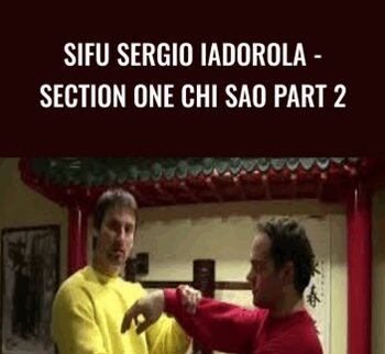 Sifu Sergio Iadorola - Section One Chi Sao Part 2 - Wing Tjun