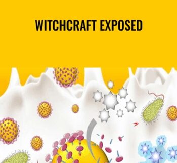 WitchCraft Exposed - Bogdan Ravaru & Giancarlo Capuccio