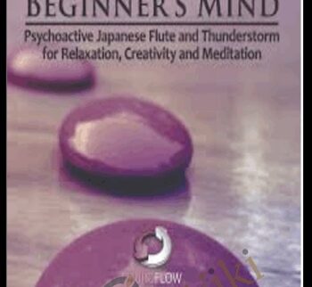Beginner's Mind (Neuroflow Series) - iAwake Technologies