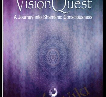 VisionQuest (NeuroFlow Series) - iAwake Technologies