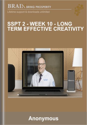 SSPT 2 – WEEK 10 – Long Term Effective Creativity