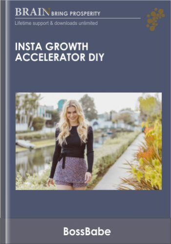 Insta Growth Accelerator DIY – BossBabe