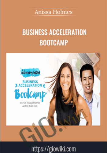 Business Acceleration Bootcamp – Anissa Holmes