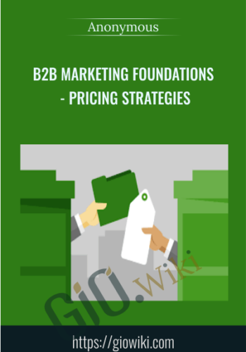 B2B Marketing Foundations - Pricing Strategies