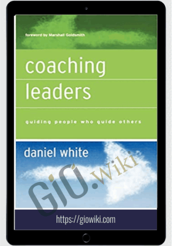 Coaching Leaders: Guiding People Who Guide Others - Daniel White