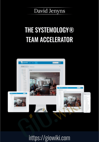 The SYSTEMology® Team Accelerator – David Jenyns