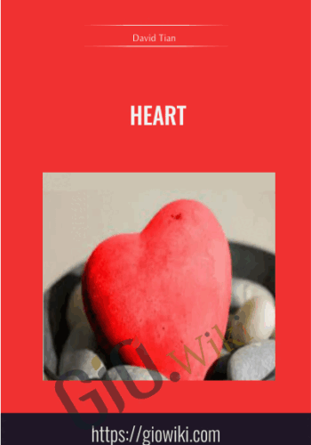 Heart  – David Tian