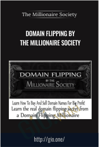 Domain Flipping By The Millionaire Society