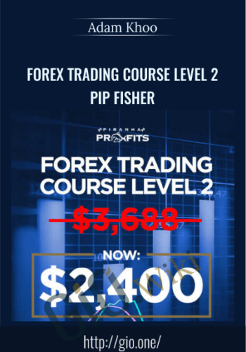 Forex Trading Course Level 2 – Pip Fisher