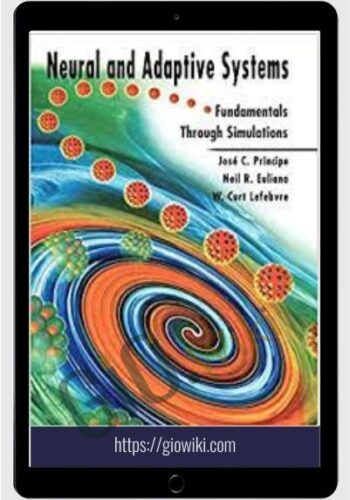 Neural & Adaptive Systems – Jose C. Principe