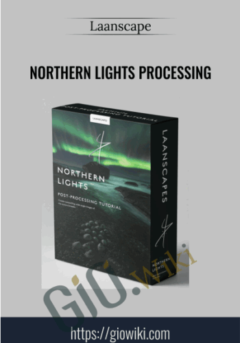 Northern Lights Processing – Laanscape