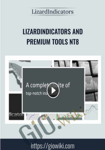 LizardIndicators And Premium Tools NT8 – LizardIndicators