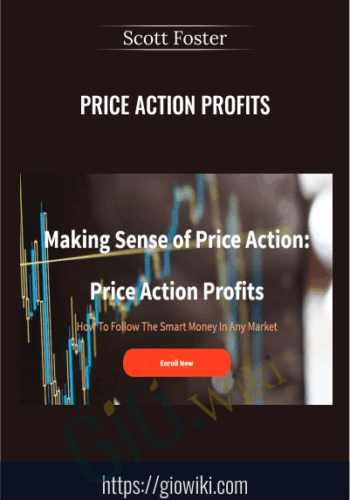 Making Sense of Price Action Price Action Profits - Scott Foster.