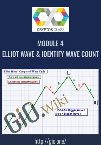 Module 4 Elliot Wave And Identify Wave Count – CryptosClass